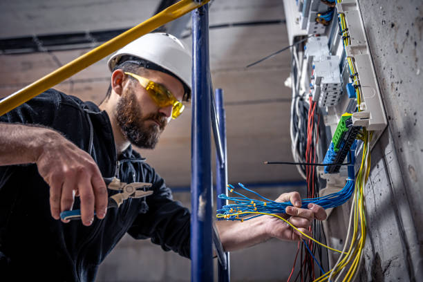 Best Residential Electrician Services  in Capac, MI